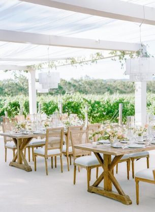 Elegant vineyard reception setup with rustic wooden tables and white floral arrangements.