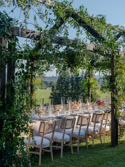 Outdoor vineyard wedding dinner under a lush green pergola with long floral tablescape