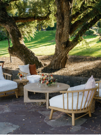 An image of a lounge-style seating arrangement outdoors 