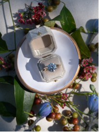 An image of an engagement ring in a box 