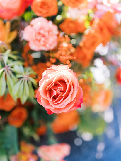 a close-up of a fall-focused wedding bouquet